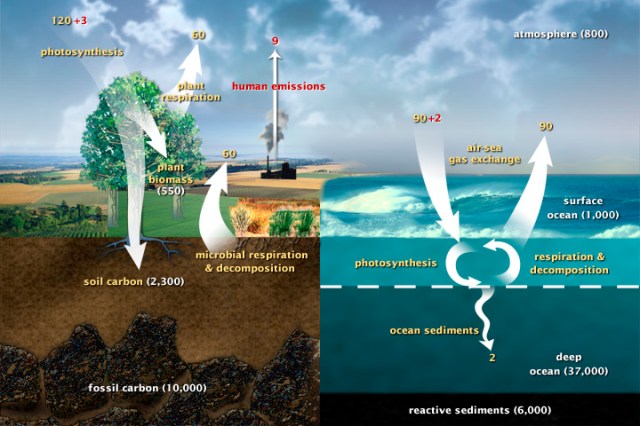 Carbon Cycle-Time and Life Spiritual Interactions