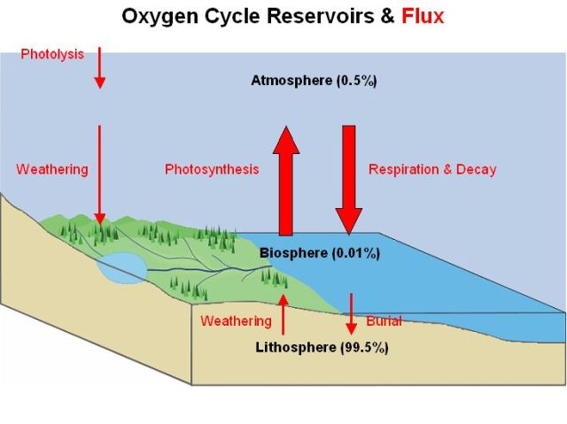 Oxygen_Cycle-Time and Life Spiritual Interactions