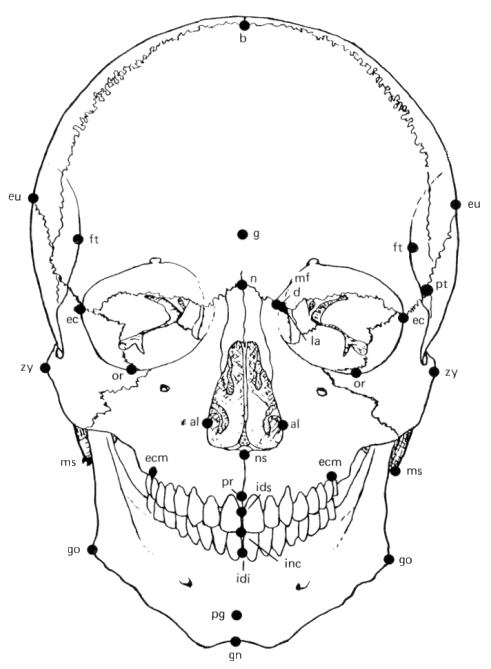SPIRITUALITY SCIENCE - THE STATUS OF MAN: THE SKULL OF MODERN MAN IS DIFFERENT IN ITS APPEARANCE AS COMPARED TO THE SKULL OF THE CRO-MAGNON MAN. THE SCIENCE OF FORENSIC ANTHROPOLOGY HELPS TO ESTABLISH THE IDENTITY OF THE HUMAN INDIVIDUAL WITH VERY HIGH SPECIFICITY.