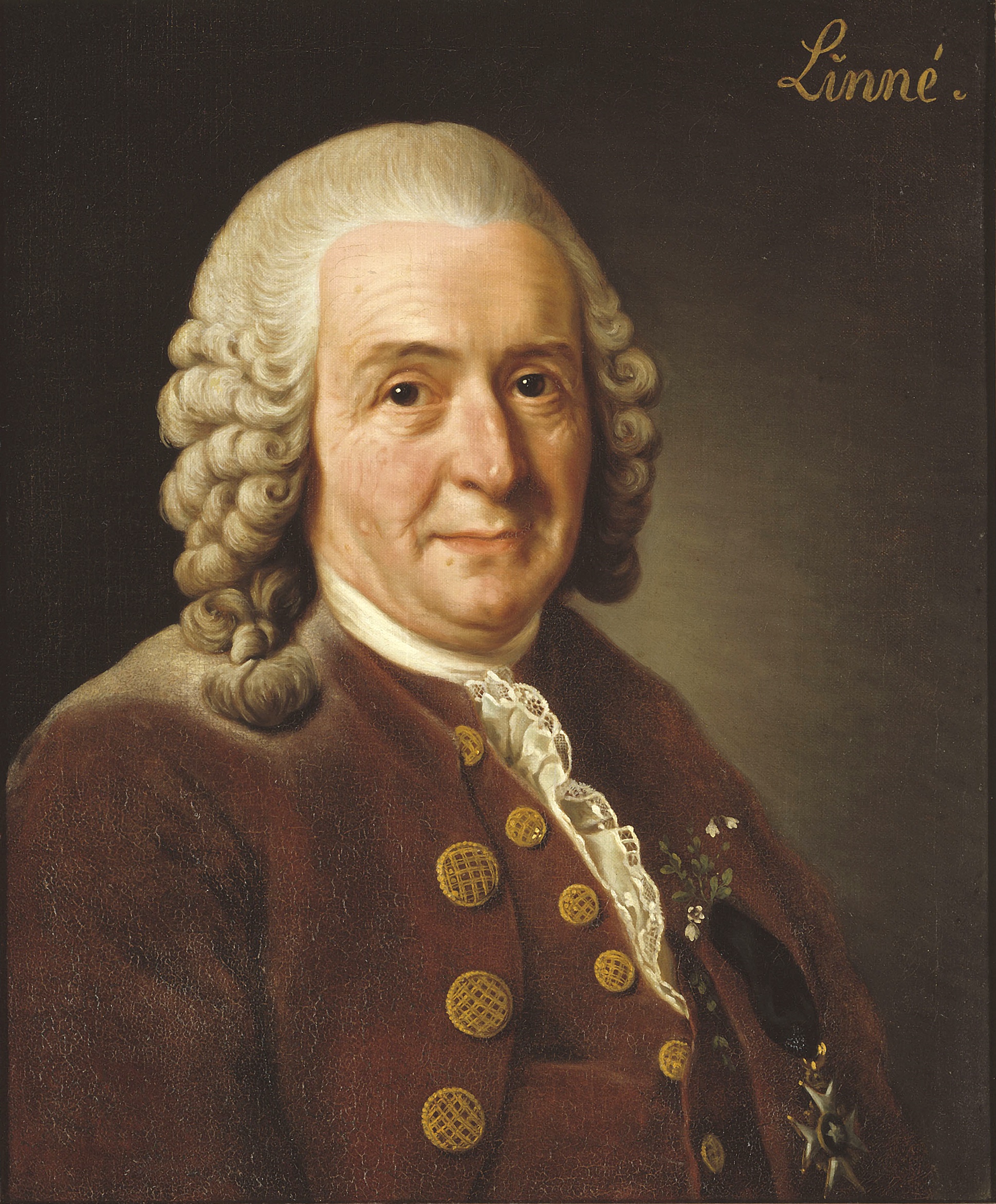 SPIRITUALITY SCIENCE - THE HUMAN SPECIES: Carolus Linnaeus. Taxonomist, was the founder of the binomial system of nomenclature and the originator of modern scientific classification of plants and animals. Taxonomy is the branch of Natural Science that deals with systematic categorization of organisms.