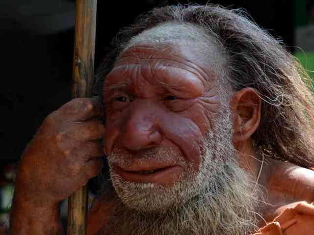 SPIRITUALITY SCIENCE - THE ORIGIN OF HUMAN SPECIES: A REPLICA OF HOMO SAPIENS NEANDERTHALIS, NEANDERTHAL MAN WHO LIVED BETWEEN 100,000 TO 40,000 YEARS AGO DISCOVERED IN 1856, NEANDERTHAL, WEST GERMANY. HE BELONGED TO THE MIDDLE PALEOLITHIC CULTURE. MODERN HUMANS MAY HAVE STARTED IN UPPER PALEOLITHIC CULTURE AND DEFINITELY BELONG TO THE BRONZE AGE.