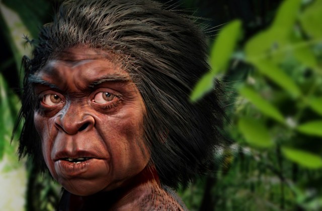SPIRITUALITY SCIENCE - THE ORIGIN OF HUMAN SPECIES: AN ARTISTIC RENDITION OF FLORES MAN, HOMO FLORESIENSIS.