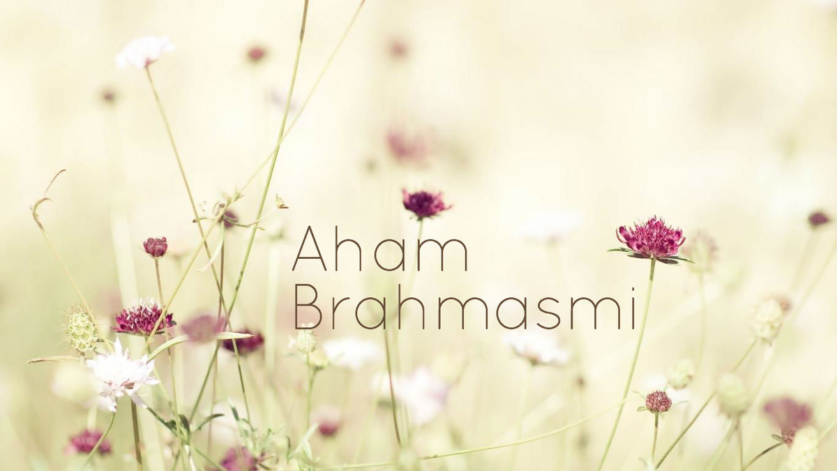 SPIRITUALITY SCIENCE - AHAM BRAHMASMI - UNITY VS IDENTITY : IN THIS PRESENTATION I WOULD LIKE TO STRESS THE IMPORTANCE OF THE VERBAL SOUND CALLED "ASMI" THAT DESCRIBES THE UNITY BETWEEN GOD AND MAN. HENCE THE ISSUE IS NOT THAT OF IDENTITY OR DIFFERENTIATION BETWEEN MAN AND GOD.