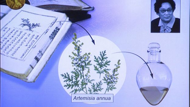 BIOTIC INTERACTIONS - SPIRITUALISM VS PARASITISM. DISCOVERY OF DRUG TO TREAT INFECTION CAUSED BY MALARIAL PARASITE.