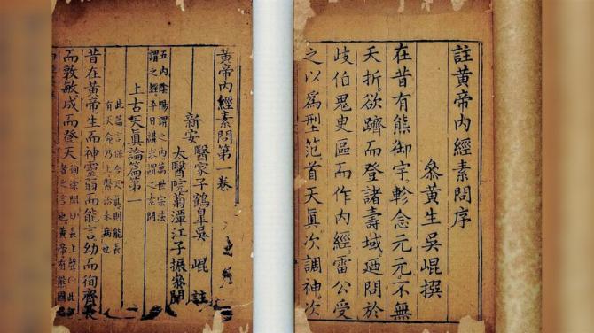 biotic interactions spiritual vs parasitism chinese natural medicine1