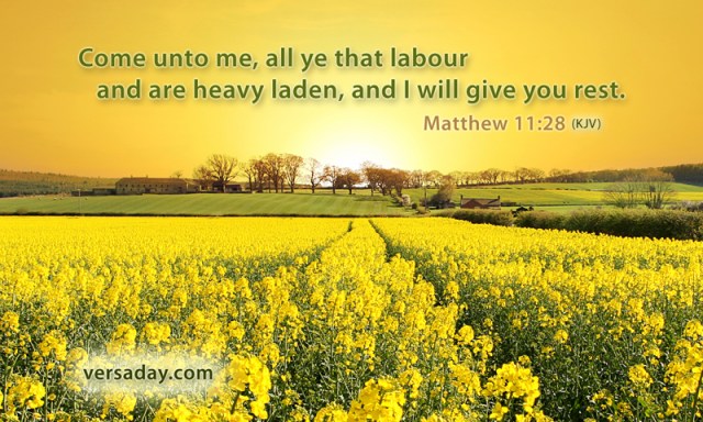 BLESSED CHRISTMAS ON FULL MOON DAY. BLESSINGS OF JESUS FROM MATTHEW 11:28