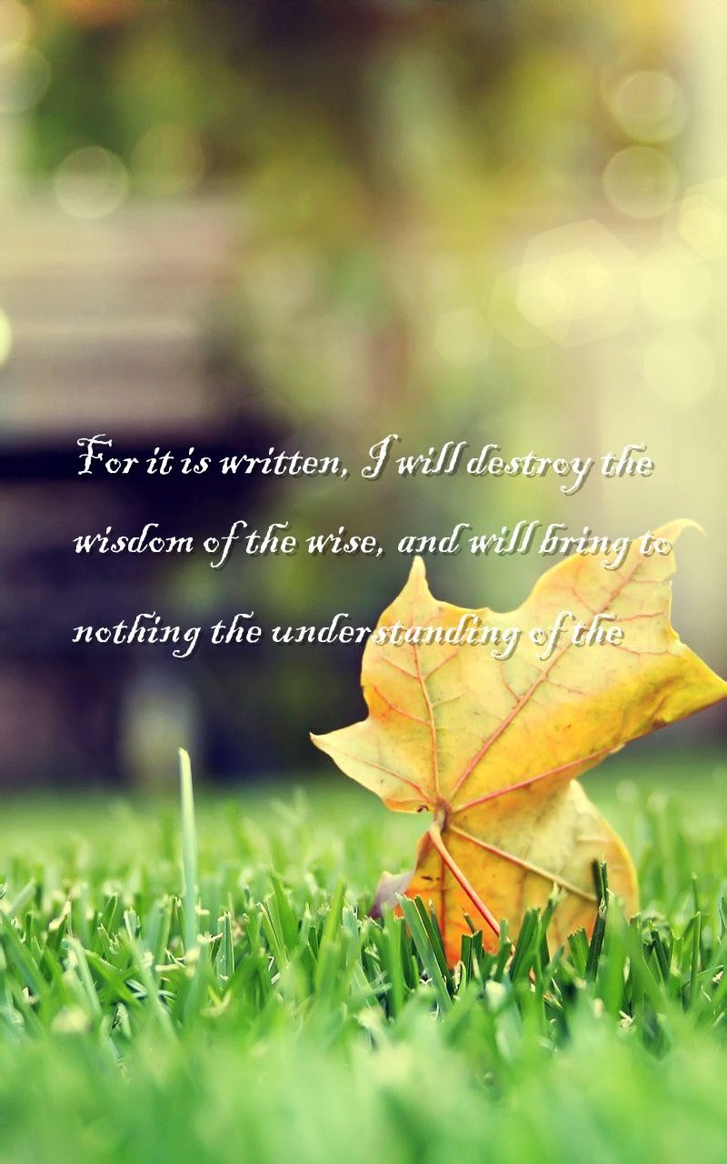 NEW YEAR GREETINGS - WISDOM TO GUIDE IN 2016. WISDOM FROM 1 CORINTHIANS, CHAPTER 1, VERSE 19.