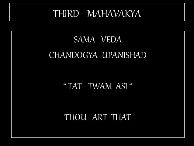 Tat asmi Prabhu - Fifth Mahavakya - Animate vs Inanimate Dualism. The separation of Man into perishable Body, and Imperishable Soul is flawed.