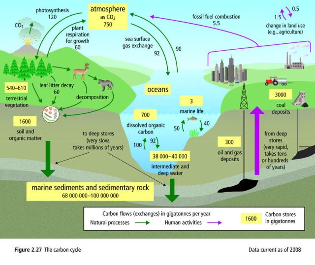 TAT ASMI PRABHU - FIFTH MAHAVAKYA - ANIMATE VS INANIMATE DUALISM. CARBON CYCLE INVOLVES FLOW OF MATTER FROM ANIMATE TO INANIMATE.