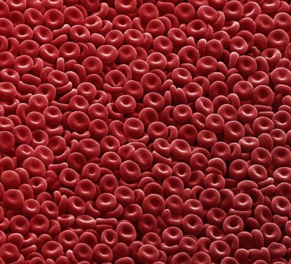 WHAT IS MAN? HUMAN NATURE vs HUMAN BEHAVIOR.