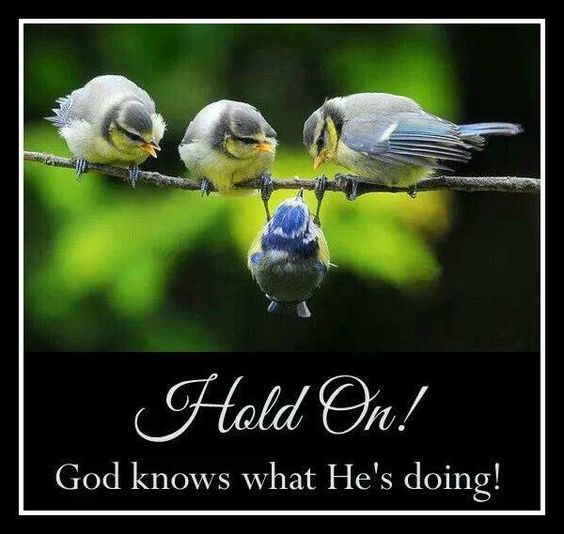 2017 NEW YEAR RESOLUTION - PERPLEXITY OF LIFE - HOLD ON, GOD KNOWS WHAT HE IS DOING. APART FROM GOD, MAN CAN DO NOTHING.