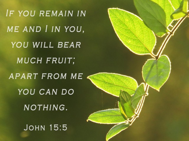 2017 NEW YEAR RESOLUTION - PERPLEXITY OF LIFE - HOLD ON - GOD KNOWS WHAT HE IS DOING. APART FROM HIM, MAN CAN DO NOTHING.